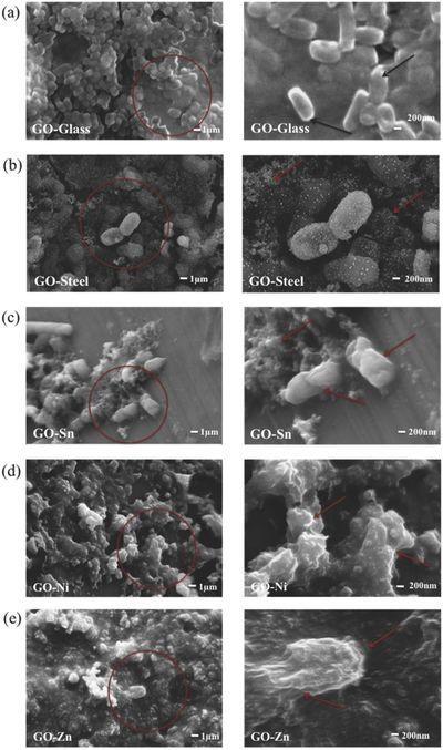 氧化石墨烯新应用：抗菌性能的研究