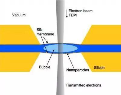 原位液体环境透射电镜技术初相遇