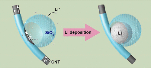把锂“关”进笼子里：CNT@SiO2微球结构控制锂沉积行为