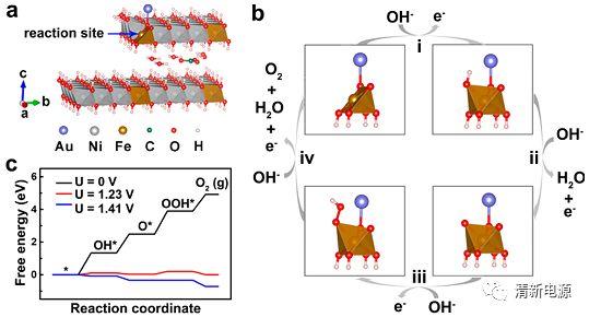 单原子Au/NiFe层状双氢氧化物电催化剂:探索析氧反应活性来源
