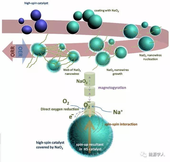 高自旋Co3O4催化剂诱导NaO2纳米线生长助力高性能钠氧电池