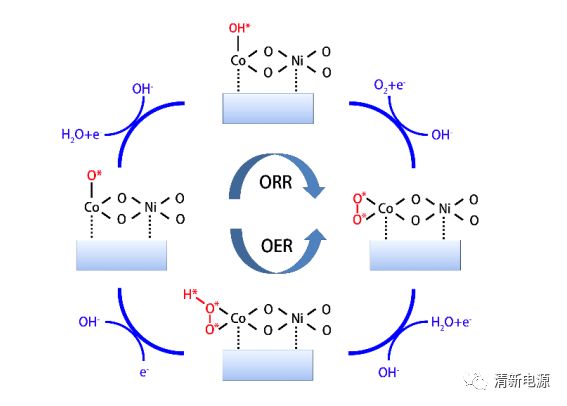 天大&南开：探秘！吡啶N-Co键在协同电催化ORR与OER中的关键角色