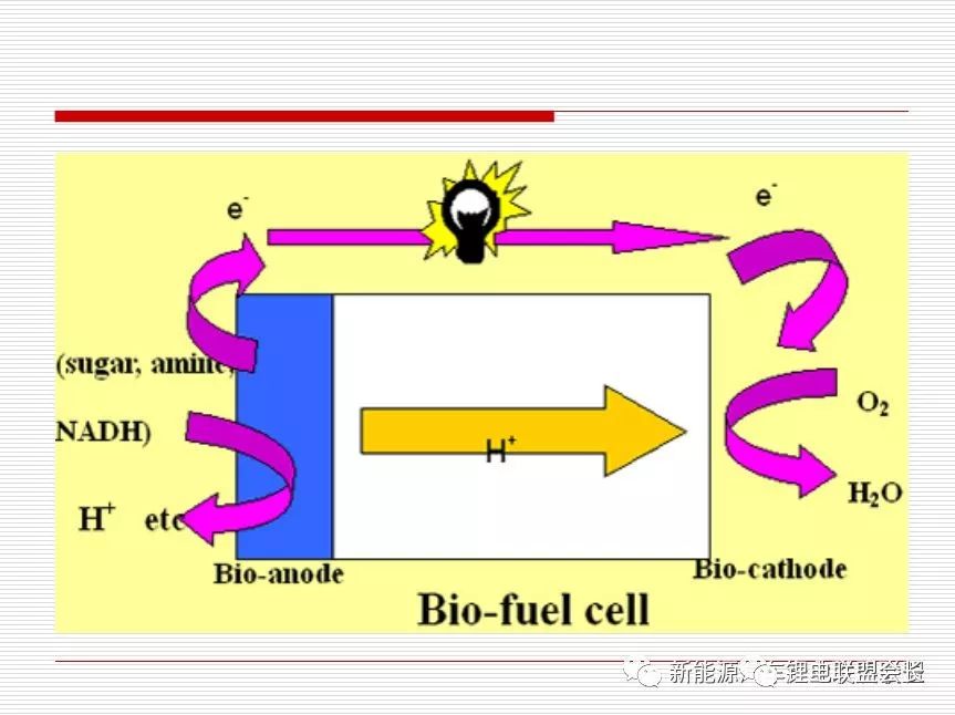 80页PPT | 解读新能源—燃料电池