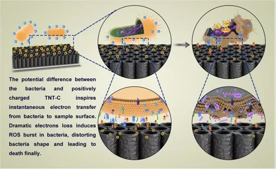 Nature子刊：充电可使材料获得抗菌性能！