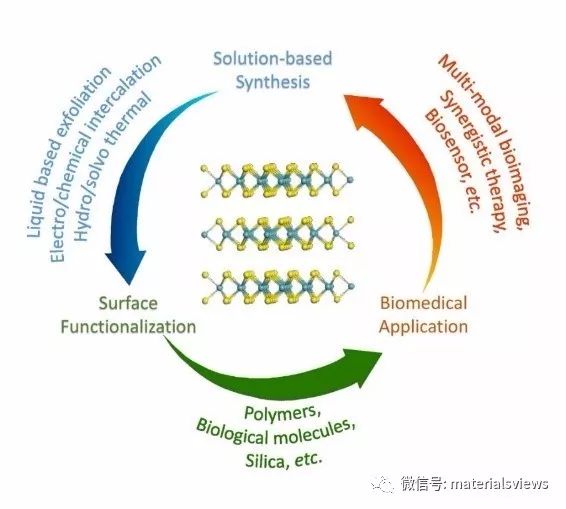 Small Methods: 过渡金属二硫化物在生物医学应用中的设计，合成及表面修饰方法的最新综述