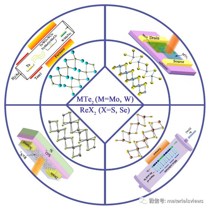 TMDs家族新成员-各向异性的MTe2和ReX2（M=Mo, W, X=S, Se）材料综述