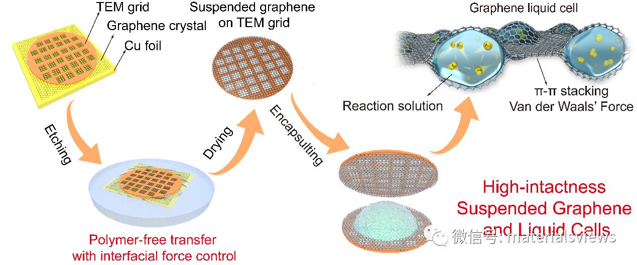 石墨烯单晶透射电镜载网：洁净转移制备及应用