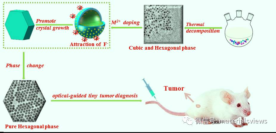 高灵敏性稀土基纳米探针的构建及微小肿瘤探测