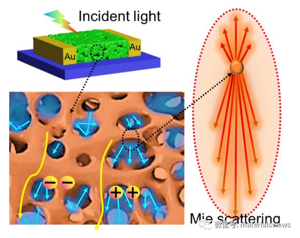 构建新型多孔钙钛矿薄膜协同增强光捕获和载流子输运能力