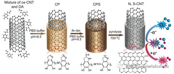 聚多巴胺介导的氮硫双掺杂碳纳米管用于双功能电解水催化剂