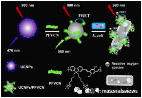 近红外光调控的PDT光敏剂——共轭聚合物及上转换发光纳米粒子杂化新材料