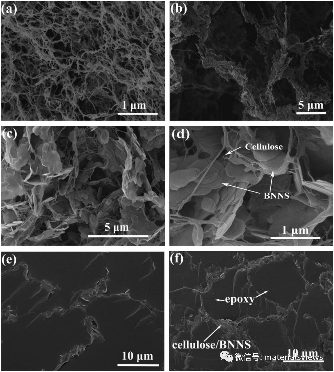 纳米纤维素支撑的三维氮化硼气凝胶：增强聚合物绝缘材料热管理能力的新思路
