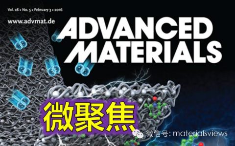 新型高效纳米催化剂：超薄Pd纳米片负载的亚单层Ru原子