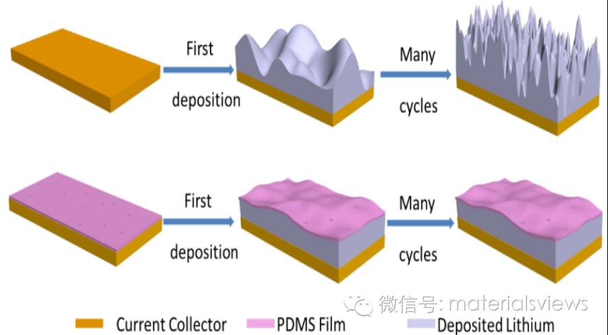PDMS薄膜：稳定有效的金属锂负极保护层