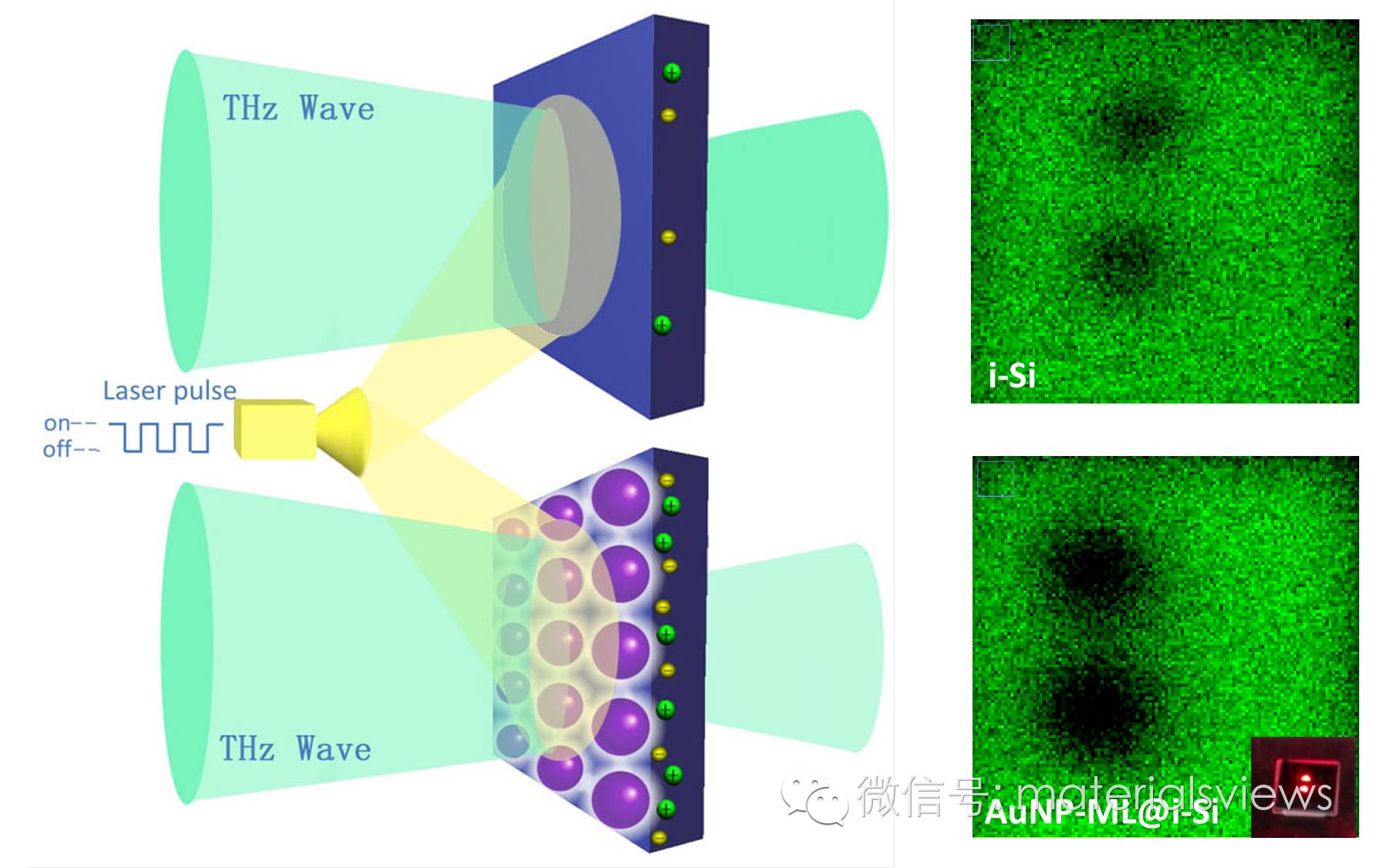 提高太赫兹波空间调制器的调制深度: 金纳米颗粒单层膜的新应用