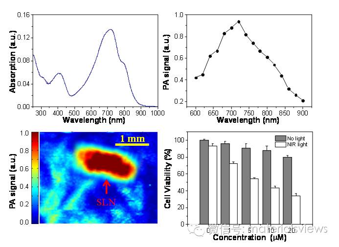 光声成像和光热治疗：基于共轭低聚体纳米颗粒的新型光声造影剂和光热材料