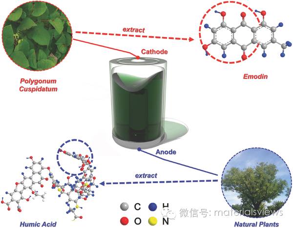 绿色电池：基于可再生生物分子的锂离子全电池
