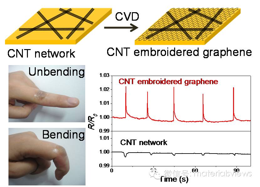 石墨烯增强碳纳米管网络结构及其应变传感器