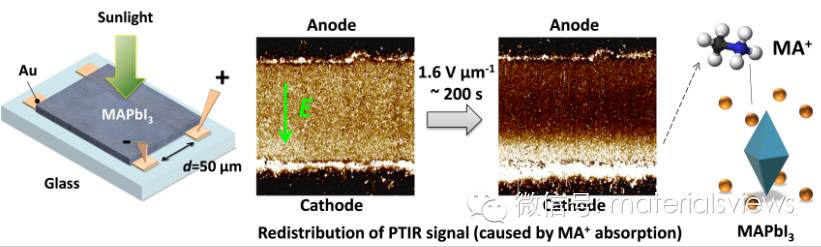 有机-无机杂化钙钛矿太阳能电池中的离子传输研究取得进展：低电场下的甲胺离子移动首次被证实