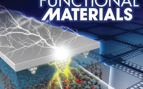 Advanced Functional Materials：四苯基吡嗪功能化——有效构建新型聚集诱导发光材料