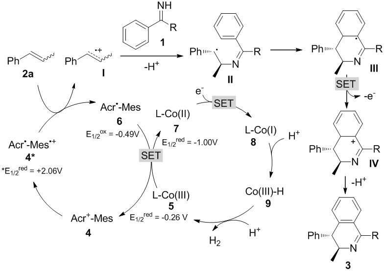光催化亚胺/烯烃选择性氧化[4+2]环化反应构建3,4-二氢异喹啉类物质