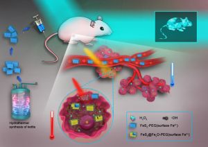 Advanced Materials：肿瘤微环境特异性诱导激活的新型自增强肿瘤影像和高效治疗