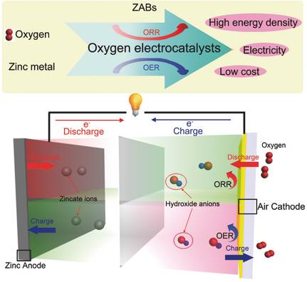 Small Methods：针对锌-空气电池的氧电极催化剂材料研究最新进展