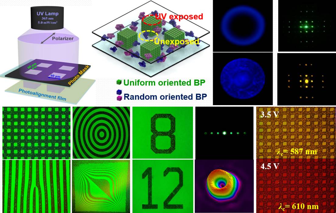 Advanced Materials:光操控软晶体指向的有序性、微域化及图案化