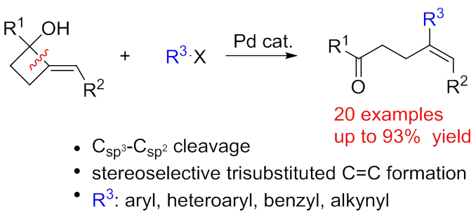 基于碳-碳键断裂的钯催化交叉偶联反应： 从2-亚烃基环丁醇合成γ,δ-不饱和酮类化合物的研究