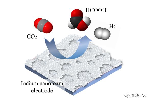 多孔纳米泡沫铟：一种新型高效二氧化碳产甲酸电催化材料