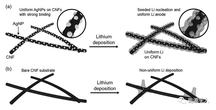 超细银纳米颗粒作为锂金属负极沉积晶种