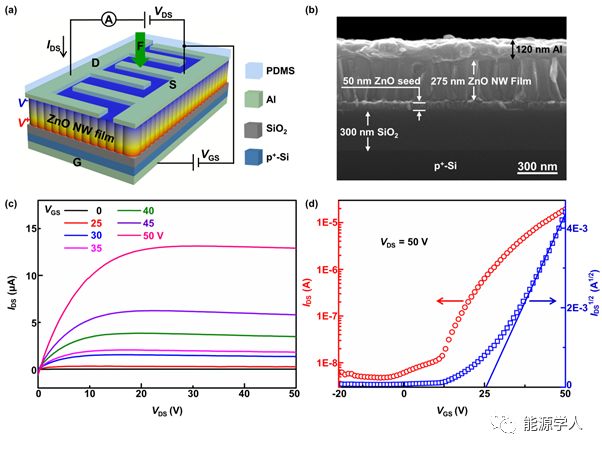 西安交大Nano Energy：ZnO薄膜晶体管中载流子浓度调制的压电电子学与压电光电子学效应