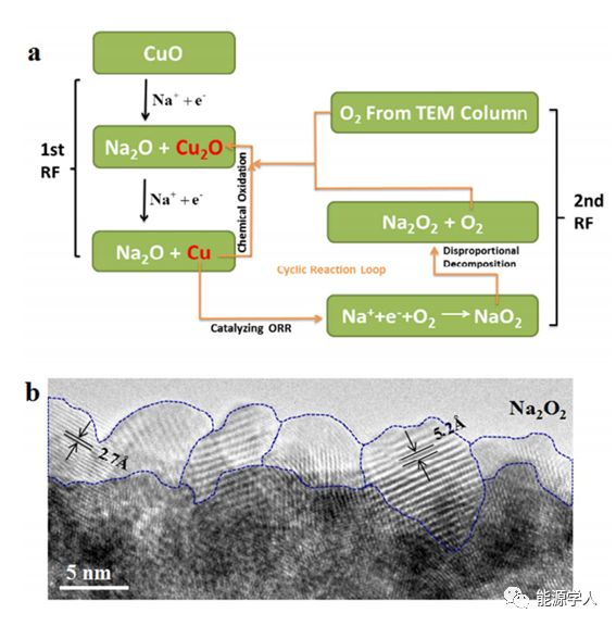 燕山大学Nano Letters： 基于CuO纳米线空气阴极的固态Na-O2电池的氧还原反应 原位成像