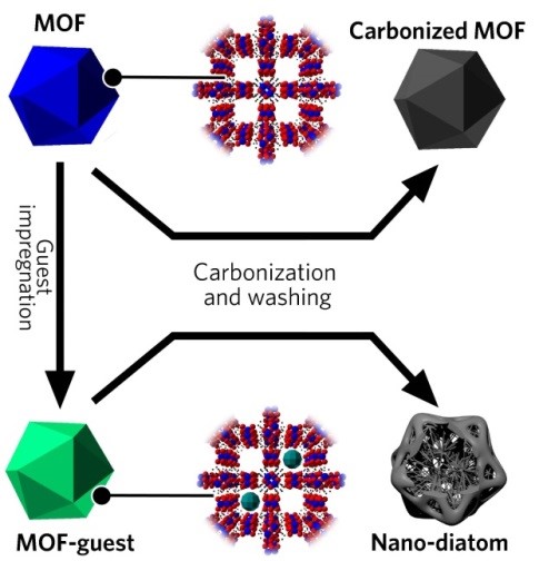 MOF碳化变形记——基于主客体系的碳基纳米“硅藻”