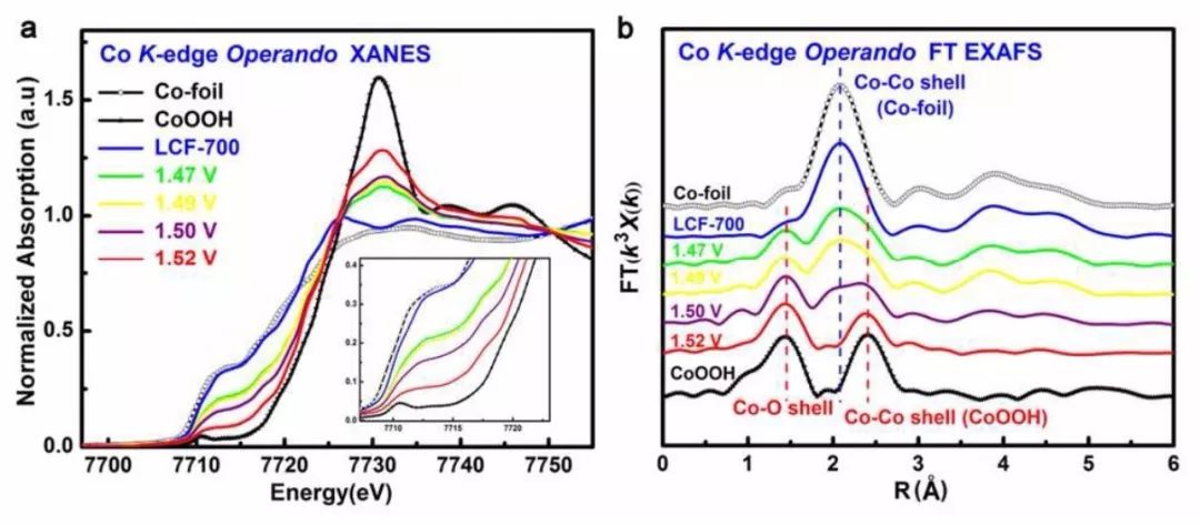EES: 原位XAS追踪负载型催化剂在OER反应中的表面重构现象