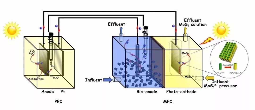 大连理工＆澳洲科廷：首次报道生物光电系统高效可控合成MoS2材料