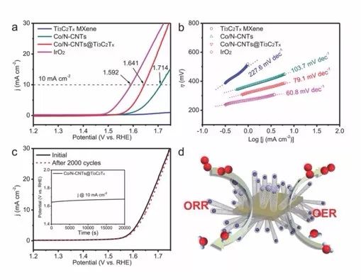 一种在Ti3C2TX阵列原位生长包裹钴纳米颗粒的氮掺杂碳纳米管形成的催化剂-用于ORR和OER