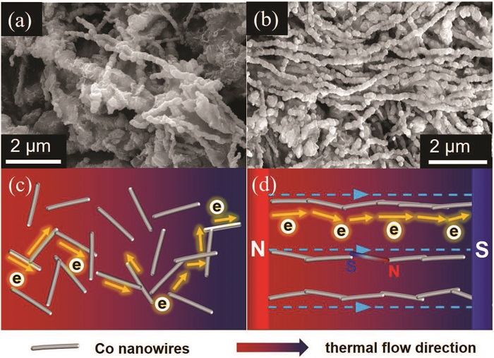 复旦大学梁子琪Advanced Electronic Materials：磁场取向优化纳米复合材料热电性能