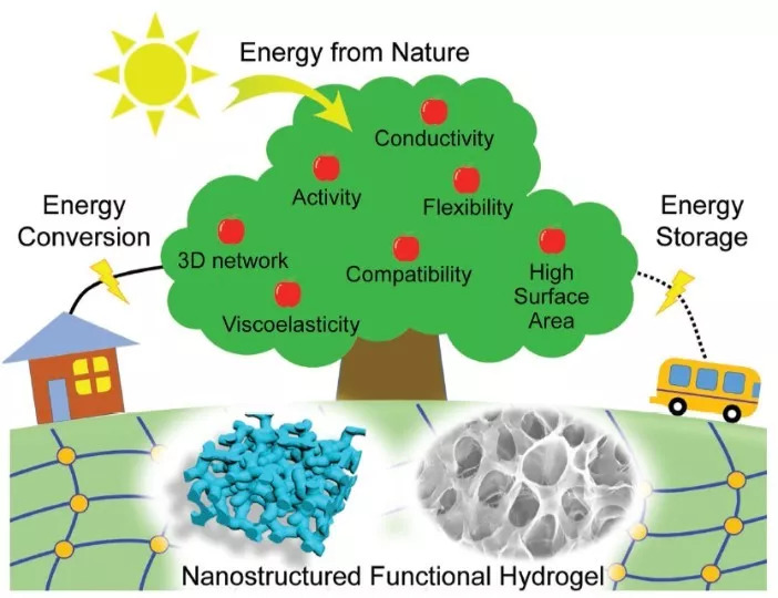 纳米结构化功能水凝胶：一类新兴的先进能源材料体系