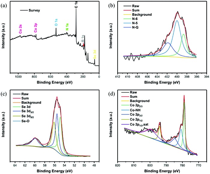 Small Methods：高性能钠离子电池负极材料——硼氮共掺杂石墨烯负载的纳米级CoS2和CoSe2