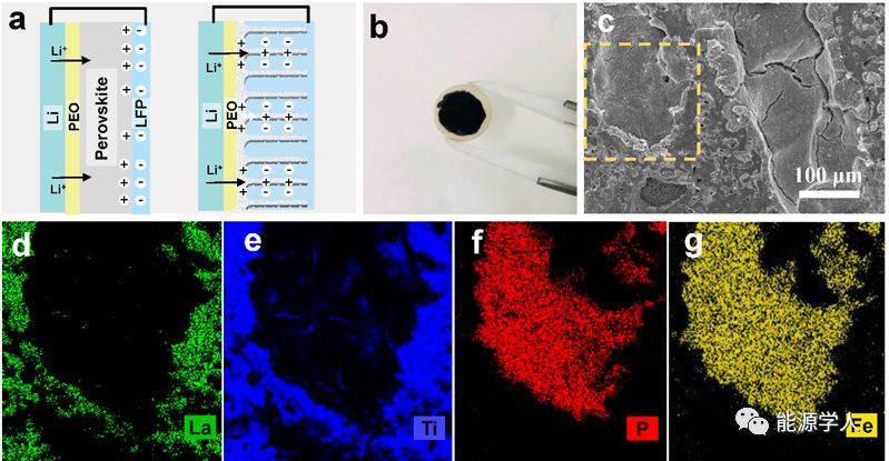 华南理工大学AEM：具有垂直有序微孔道的钙钛矿电解质膜应用于全固态锂电池