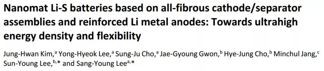 基于全纤维正极/隔膜和强化型Li负极的高能量密度的柔性纳米垫Li–S电池