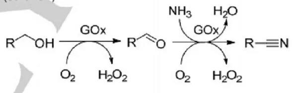 Angew. Chem. Int. Ed：酶、空气和氨气温和绿色合成腈类