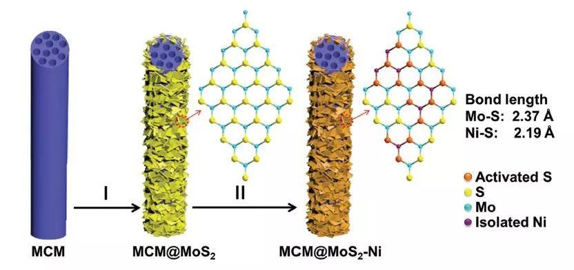 AFM: 表面修饰层状MoS2纳米片单原子催化剂用于高效析氢