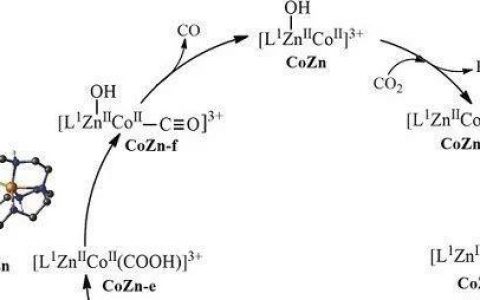 钟地长&鲁统部：双核金属协同催化促进光化学CO2转化为CO
