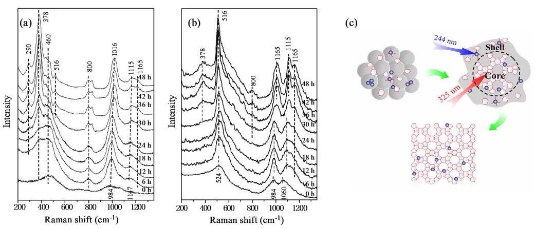 催化系列干货（2）紫外拉曼光谱研究微孔材料晶化机理