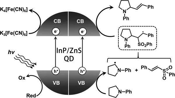 一炮双响：InP/ZnS量子点作为氧化还原和碳-碳偶联反应的高效可见光光催化剂