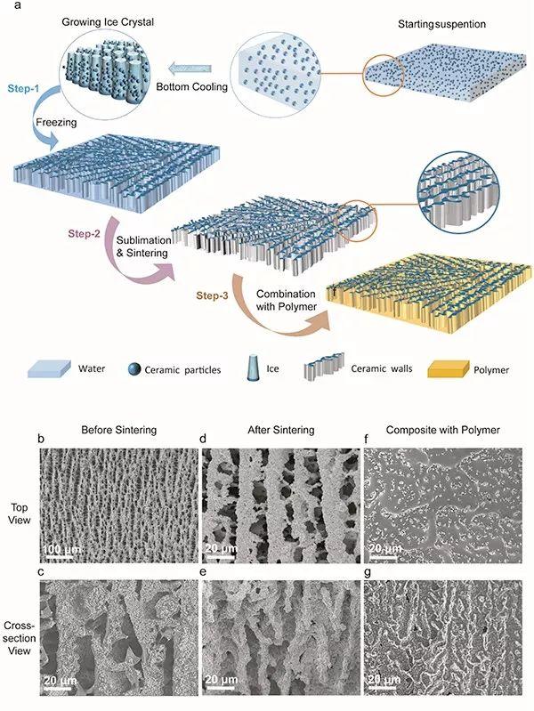 哥伦比亚大学杨远Nano Energy：精妙的结构设计让陶瓷电解质在固态锂电池中大显身手