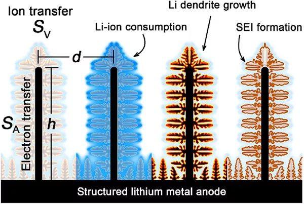 清华张强团队EnSM：三维结构锂金属负极的枝晶生长：电子或离子转移限制？