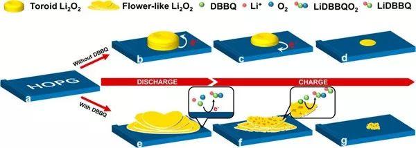 JACS:揭秘可溶性催化剂表面效应对Li-O2电池ORR/OER的影响